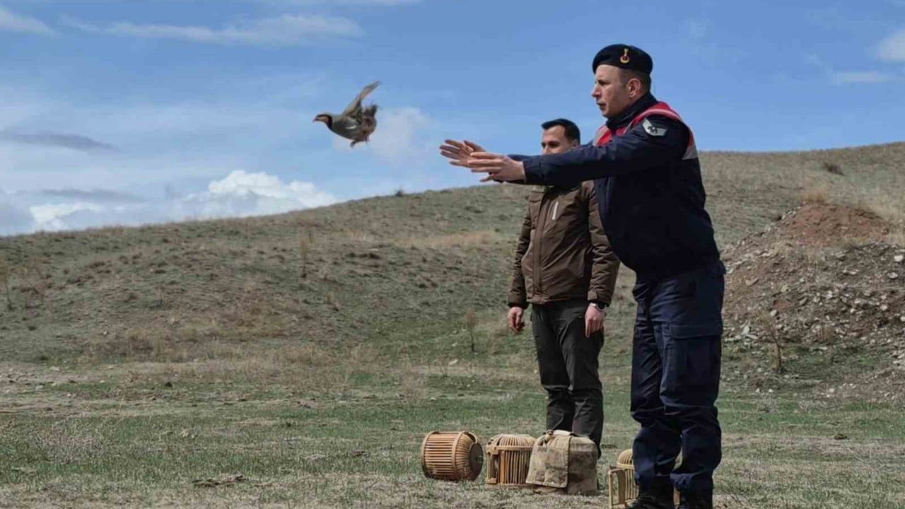 Kars’ta kaçak avcılara operasyon: 51 keklik doğal yaşamına bırakıldı