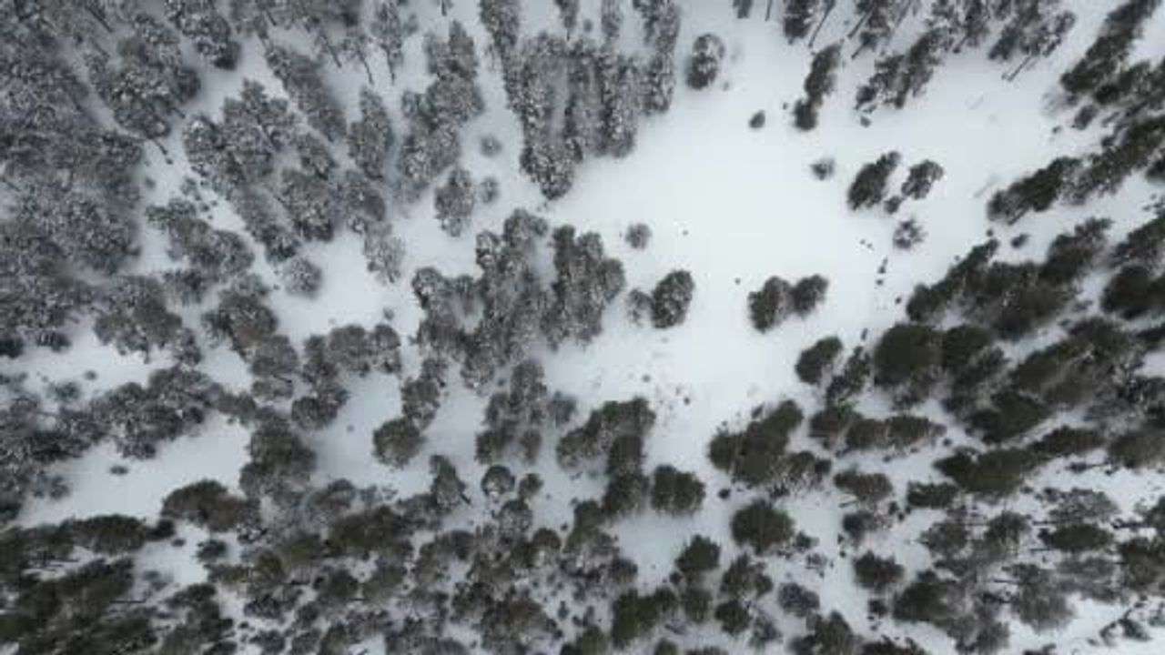 Kars’ta Sarıçam Ormanları ve Tarım Arazileri Yoğun Karla Beyaza Büründü