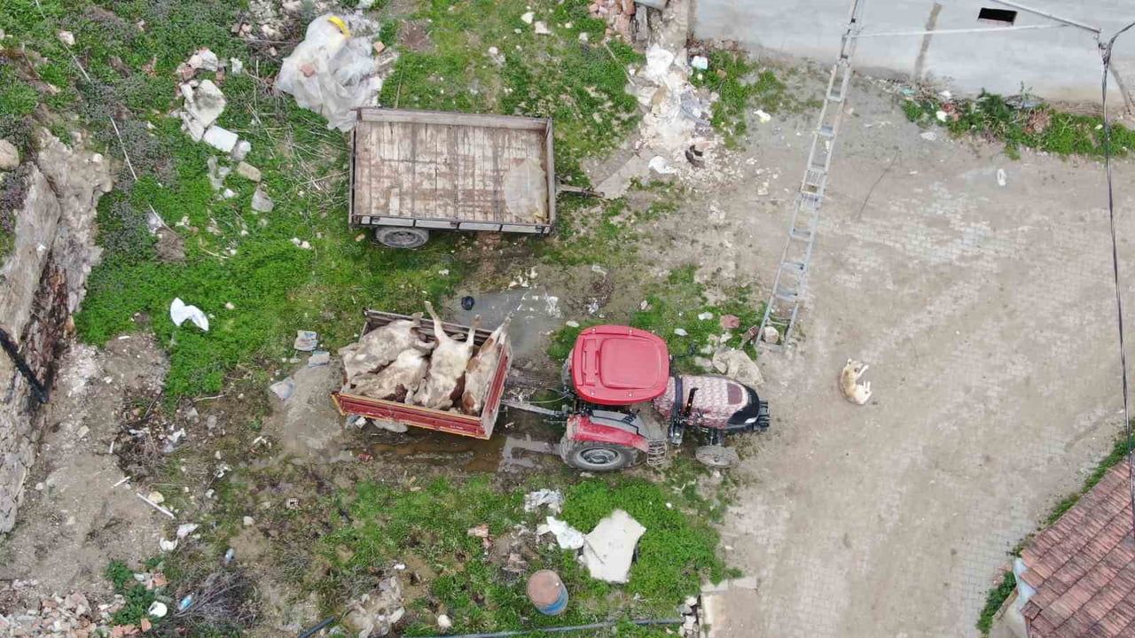 Kastamonu Eşen Köyü'nde Fırtına Ahırı Çökertti: 4 Büyükbaş Telef, 8 Kurtarıldı