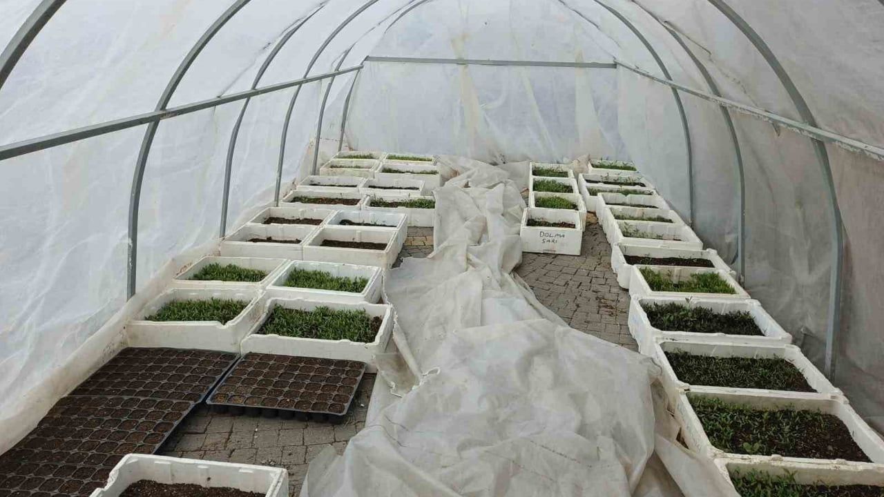 Kayseri Büyükşehir'in Doğal Ürünler Bahçesi ve Pazarı'nda 2026 sezonu hazırlıkları başladı