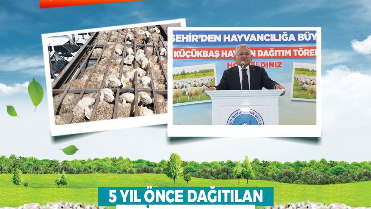 Kayseri’de döngüsel model: 'Koyunlar Artıyor, Meralar Şenleniyor' ile kırsalda yaklaşık 150 bin küçükbaş artışı