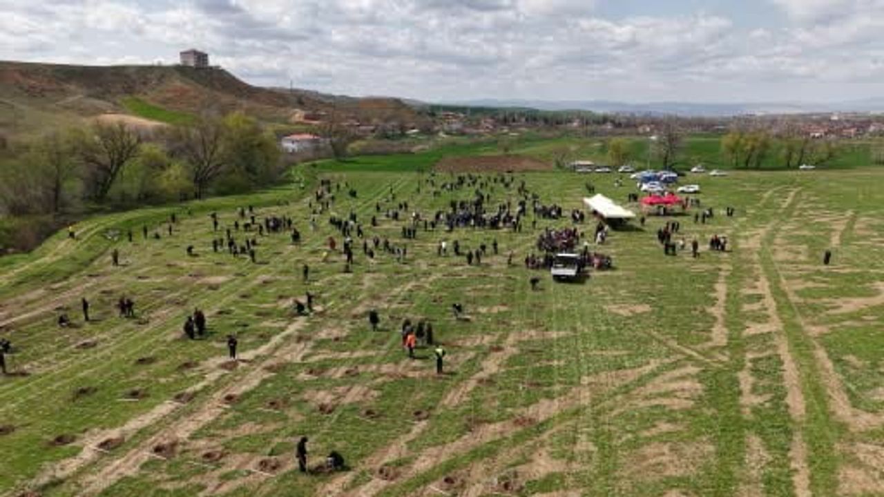 Kırıkkale'de 2 bin çam fidanı toprakla buluştu — Öğrenci ve vatandaşların yoğun katılımı