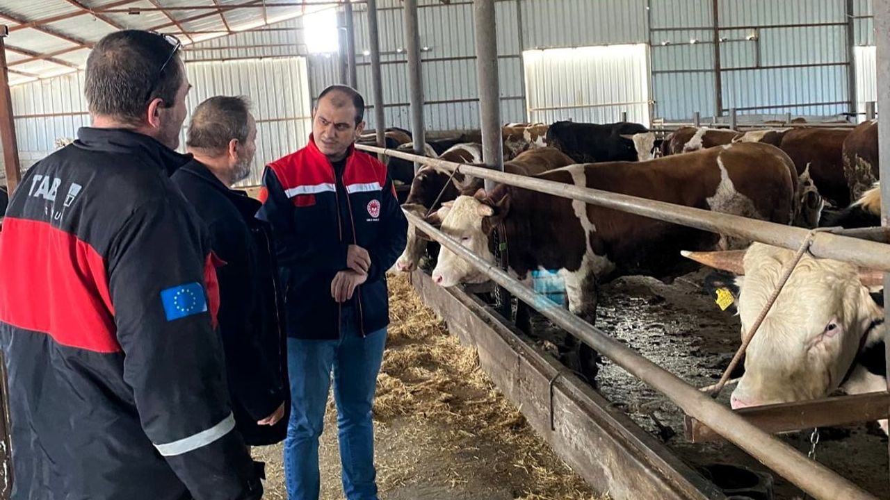 Kırklareli’de Besi Çiftliklerinde Kurban Bayramı Öncesi Denetimler Sıklaştırıldı