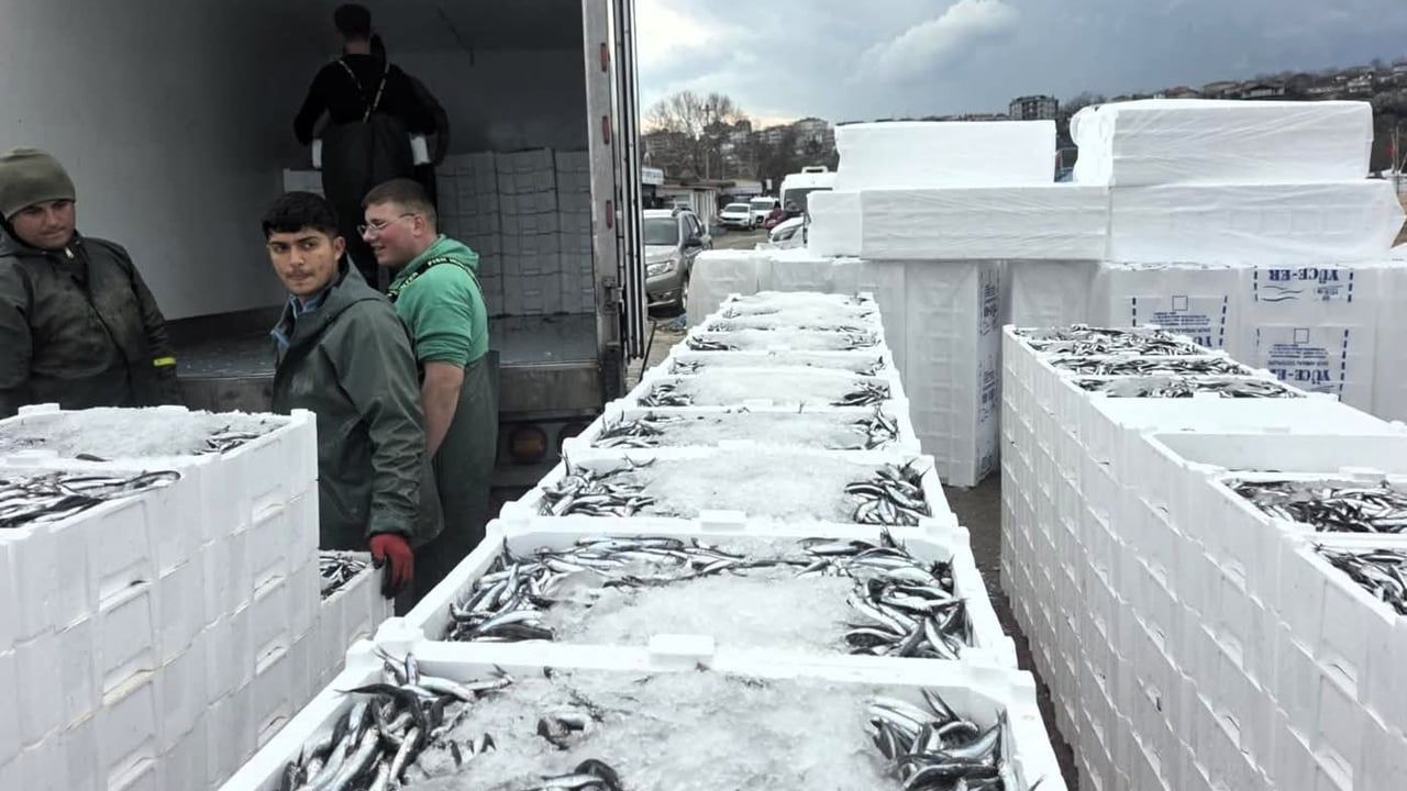 Kırklareli’de Hamsi Avcılığına Sıkı Denetim: Sezonda 15 milyon 270 bin 699 kg Hamsi Karaya Çıkarıldı