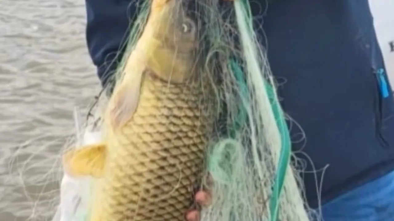 Kırklareli'de Kayalı Barajı'nda 650 metre kaçak ağ ele geçirildi; 2 kişiye 94 bin 794 TL ceza