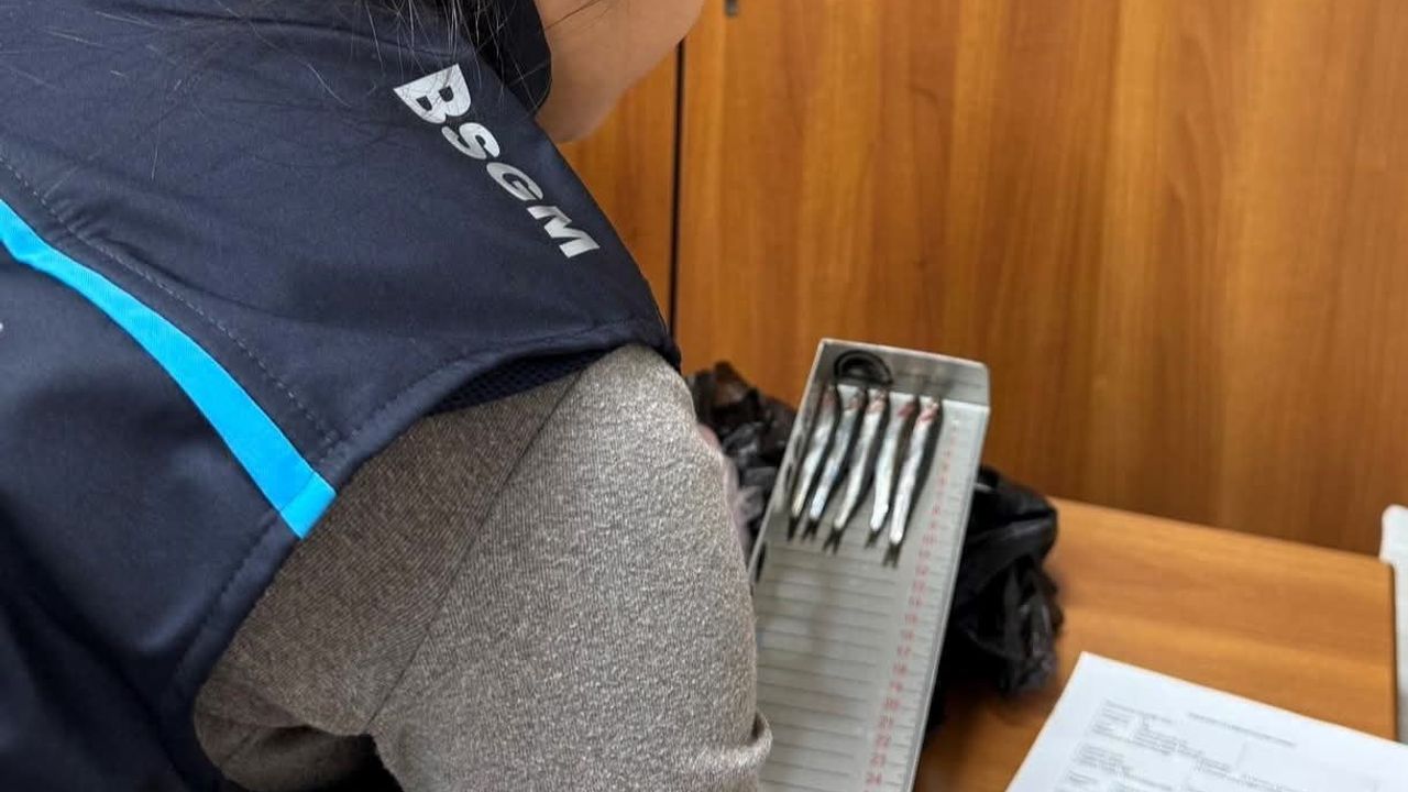 Kırklareli Demirköy'de Hamsi Denetimleri Sürüyor