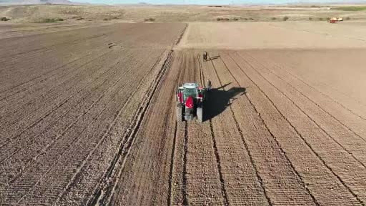 Kırşehir'de Yağış Artışı Rekolte Beklentisini Güçlendiriyor