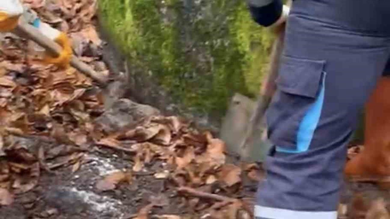 Kocaeli'de Serdar Arslan cinayeti davası: İki sanığa ağırlaştırılmış müebbet, birine müebbet