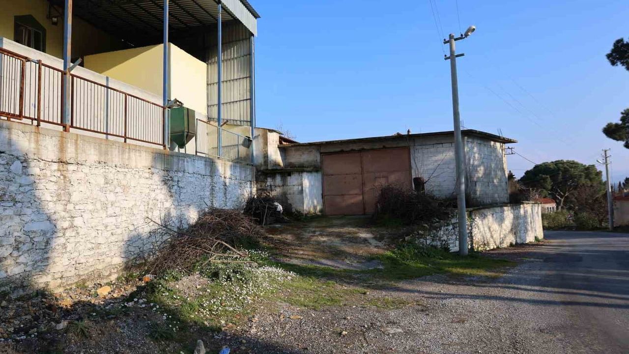 Koçarlı'da milyonluk yatırım atıl kaldı: Mazon Bölgesi Çam Fıstığı Kooperatifi çürümeye terk edildi