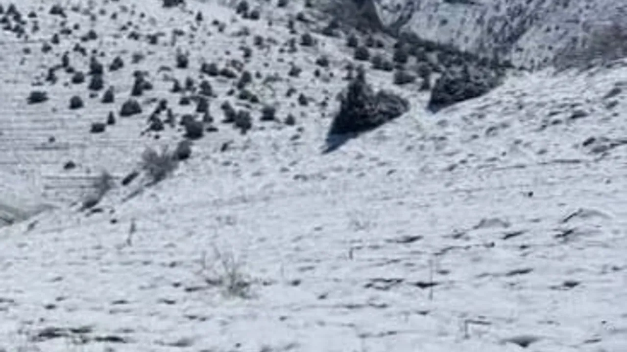 Konya Halkapınar'da Nisan Ayında Kar Yağışı: Yüksek Mahalleler Beyaza Büründü