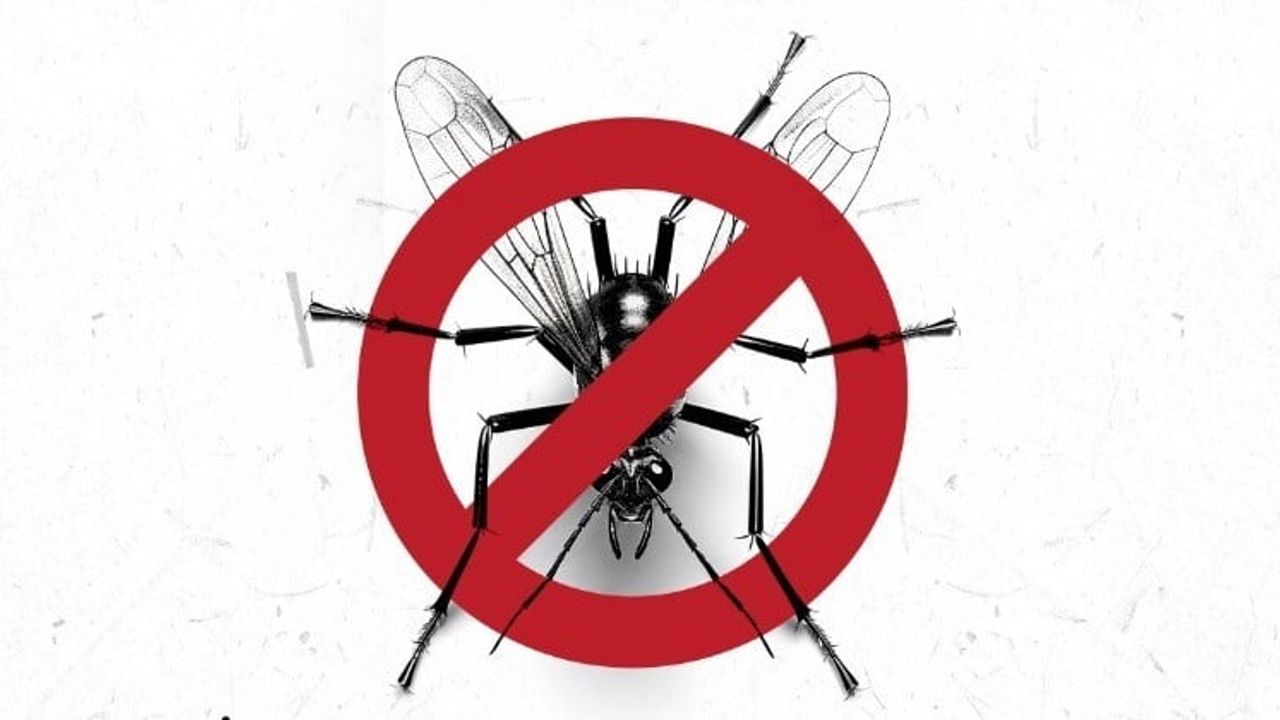 Kuşadası Belediyesi: Mahkeme vektörle mücadele yetkisinin Aydın Büyükşehir'de olduğunu teyit etti