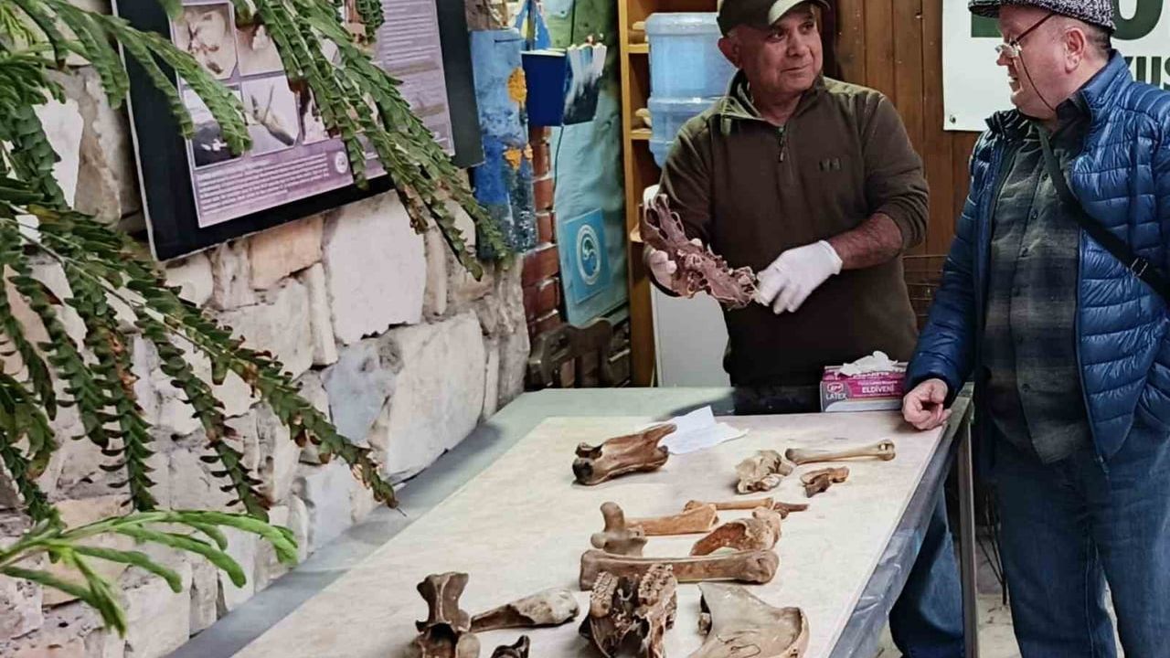 Kuşadası kıyılarında fırtına sonrası ortaya çıkan kemikler bilimsel incelemeye alındı