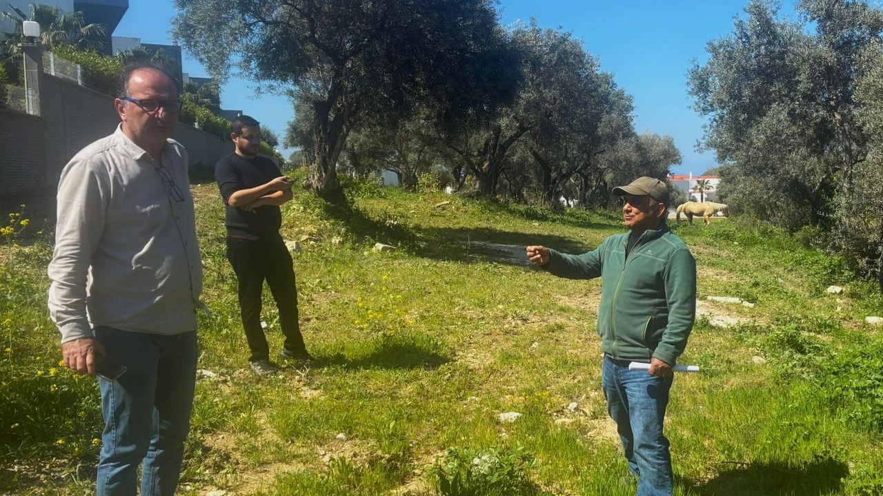 Kuşadası'nda Endemik Tülüşah Alanlarında Tahribat Tespit Edildi, İnceleme Başlatıldı