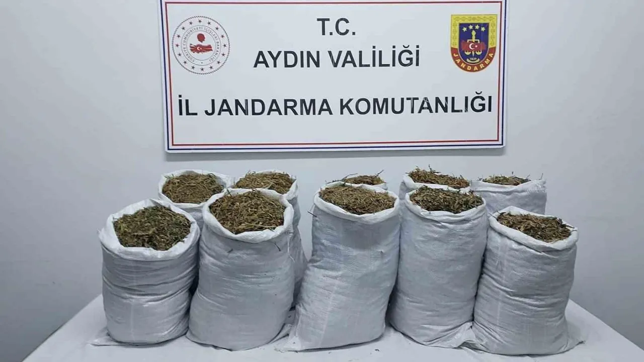 Kuşadası'nda Jandarma Operasyonu: 22 kg Kubar Esrar ve Kenevir Ele Geçirildi, 2 Gözaltı