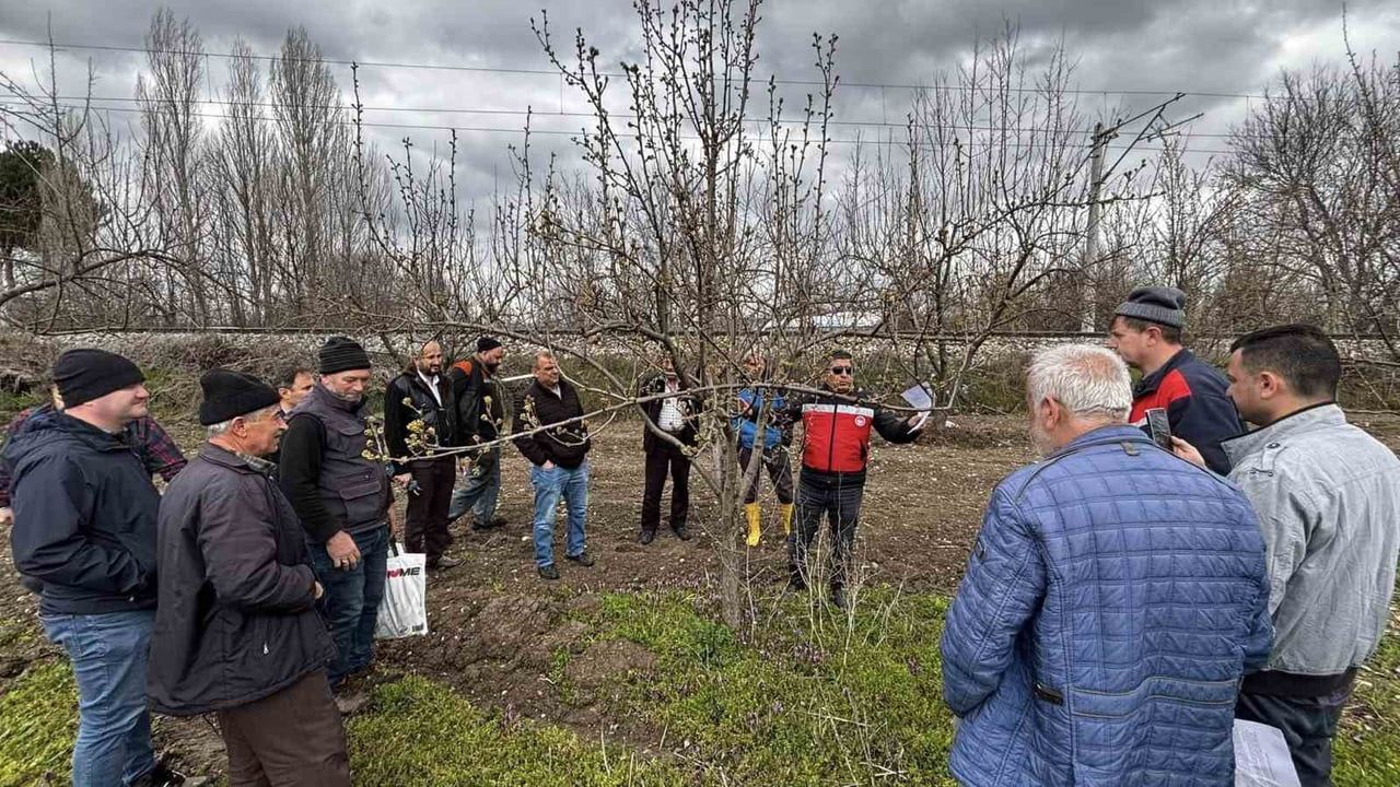 Kütahya’da meyve üreticilerine uygulamalı budama ve aşılama eğitimi