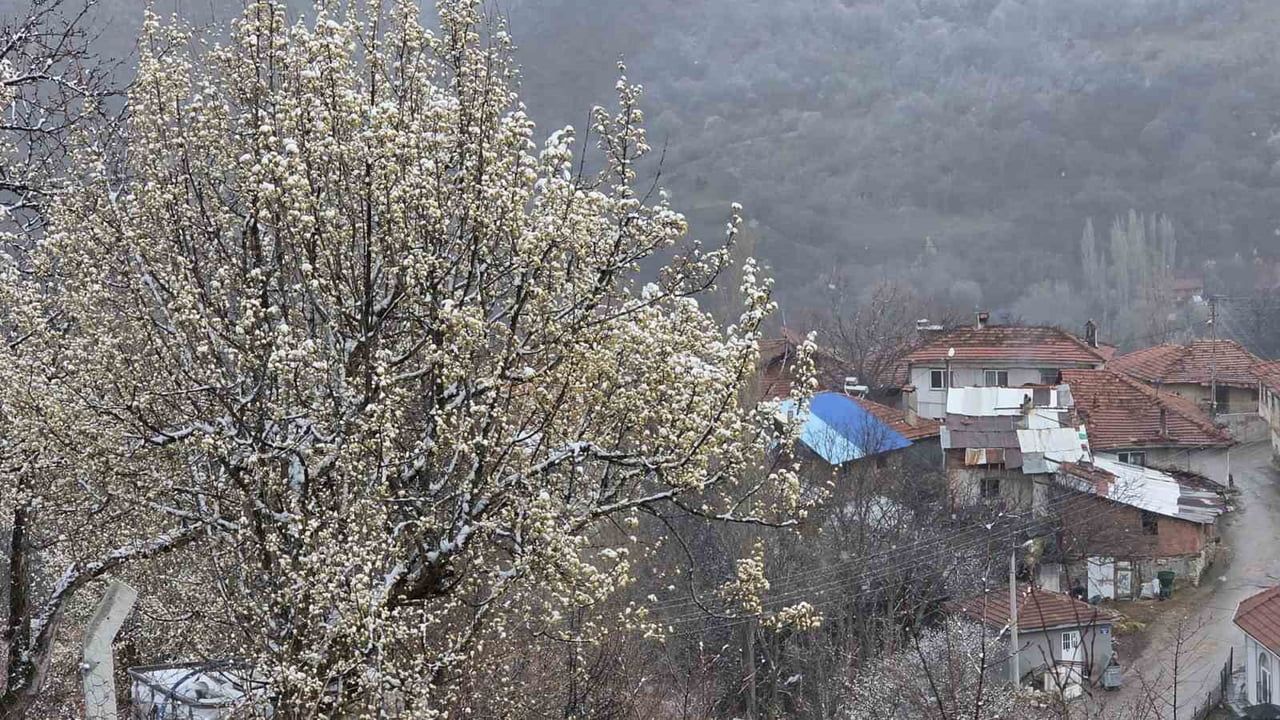 Kütahya'da Nisan Karı Üreticileri Endişelendirdi