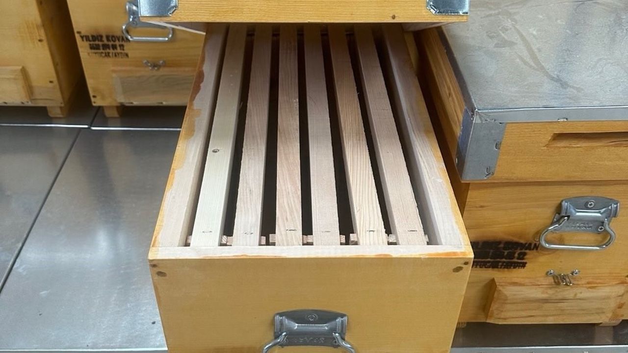 Kuyucak'tan dünyaya arı kovanı ihracatı: Fırınlanmış ahşapla standart üretim