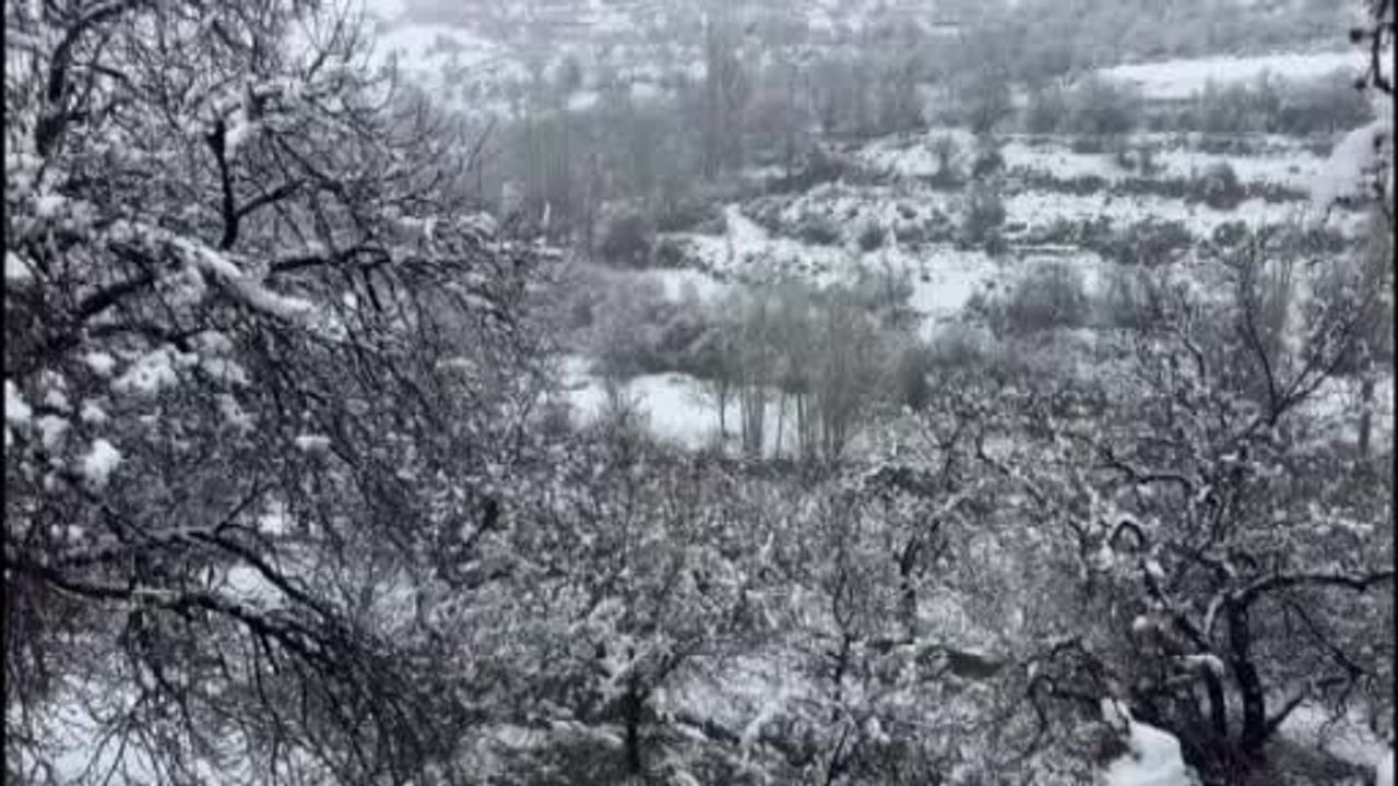Malatya'da kayısı bahçeleri karla kaplandı: Kırsalda kar 10 santimetreye ulaştı