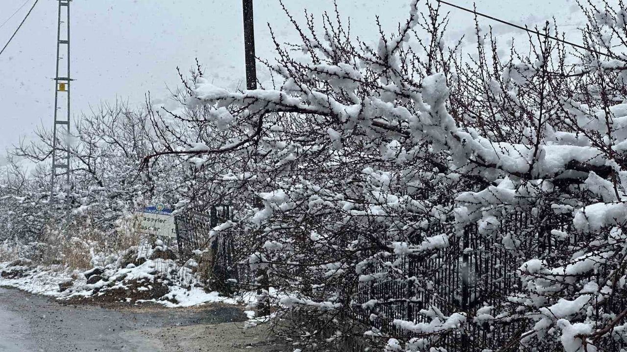 Malatya'da kayısı bahçeleri karla kaplandı; Meteoroloji'den zirai don uyarısı