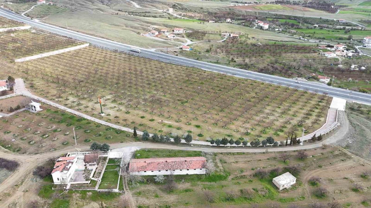 Malatya'da kayısı üreticileri zirai dona karşı pervane sistemleriyle önlem alıyor