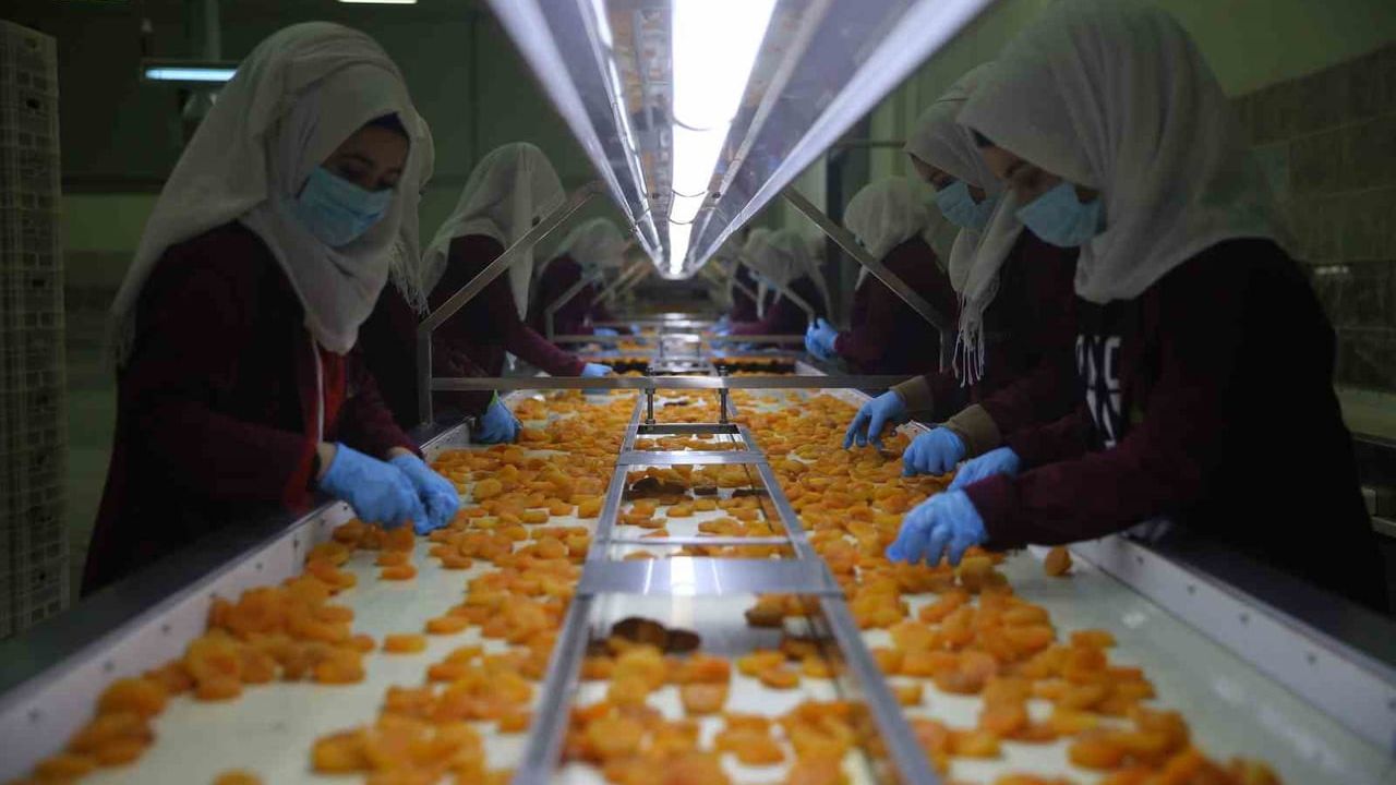 Malatya'da Mart Ayında Kuru Kayısı İhracatı 20 Milyon Doları Aştı