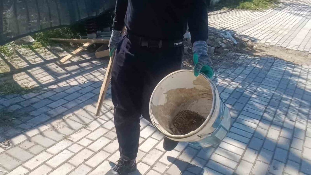 Manavgat'ta itfaiye ekipleri bacadaki serçe ve rögardaki üç kirpiyi kurtardı