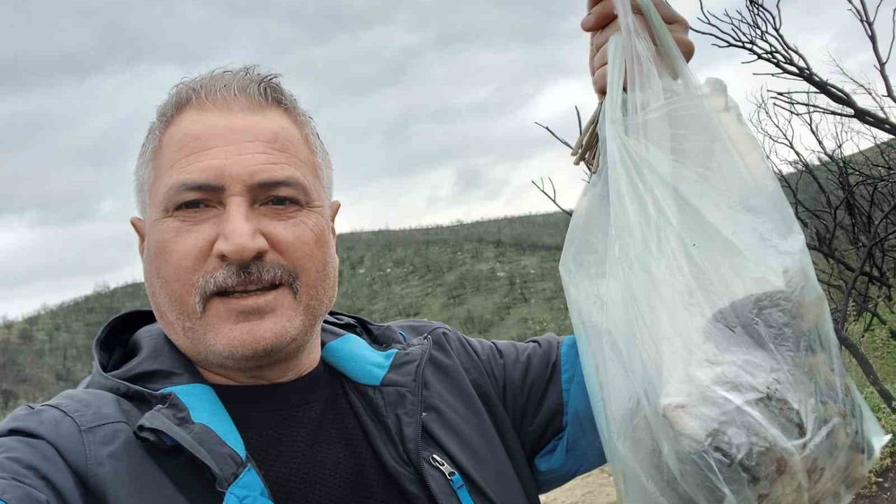 Manisa Salihli'de kuzugöbeği sezonu açıldı: Vatandaşlar doğada arıyor