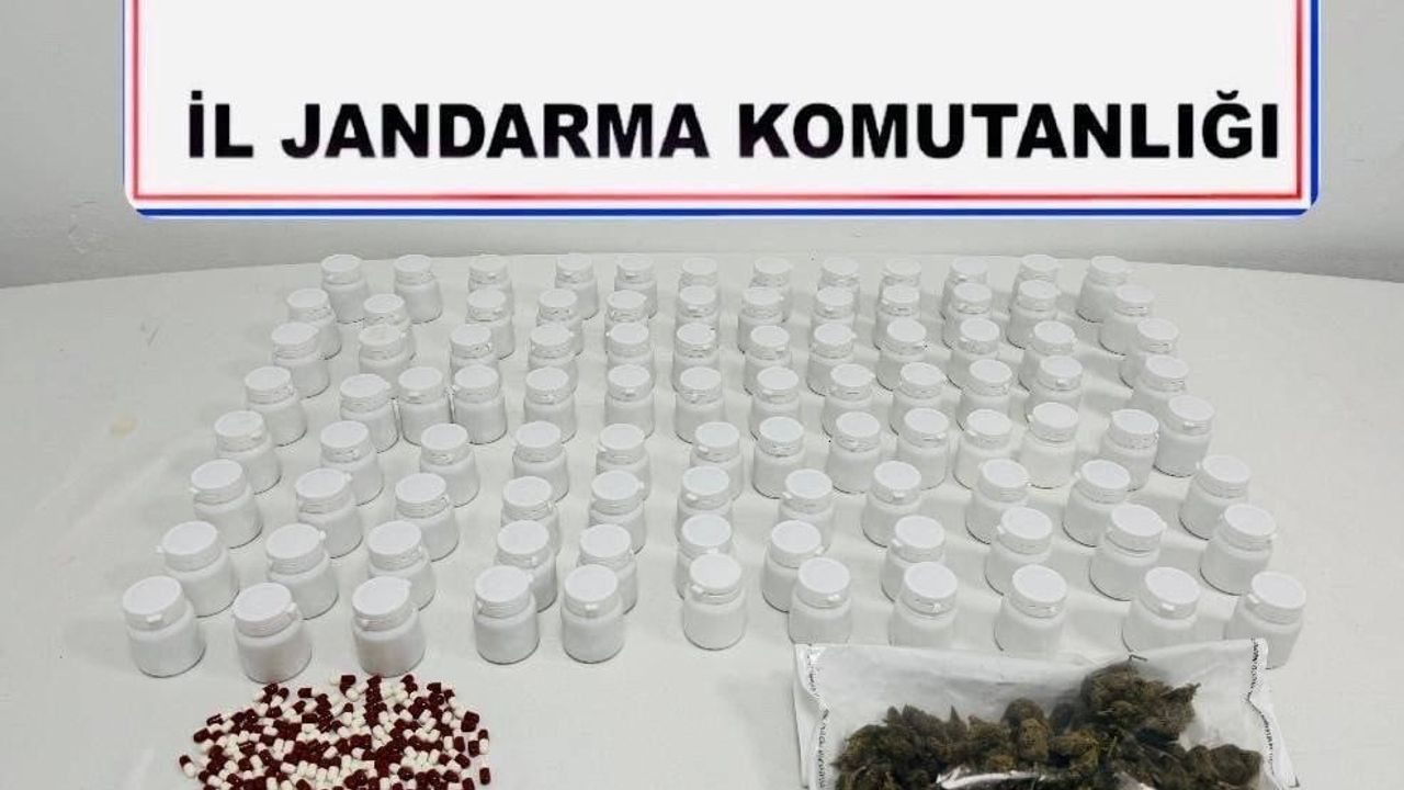 Mardin'de jandarma operasyonu: 1 şüpheli tutuklandı