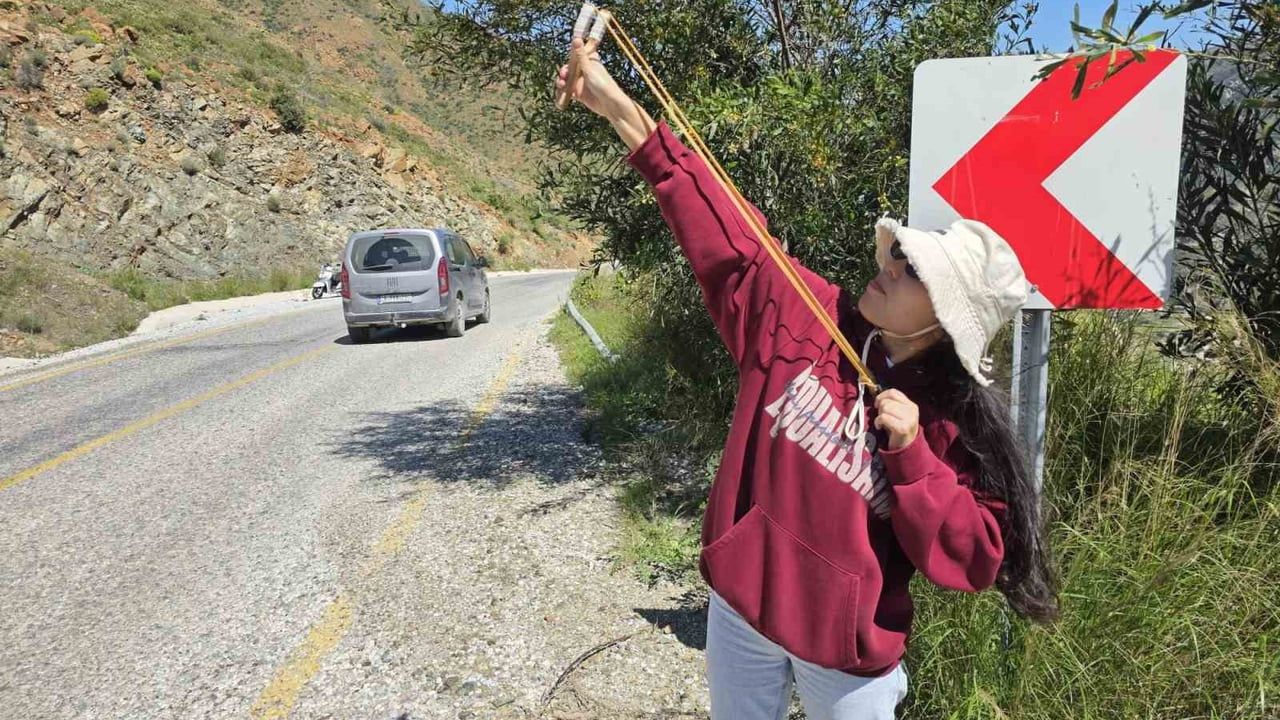 Marmaris’te sapanla tohum topu atılarak İçmeler’de ağaçlandırma çalışmaları sürüyor