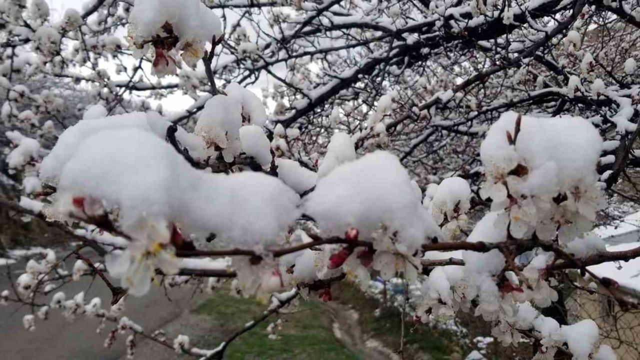 Mart Sonrası Nisan'da Gece Donu: Erzincan ve Çevresinde Düşük Sıcaklıklar