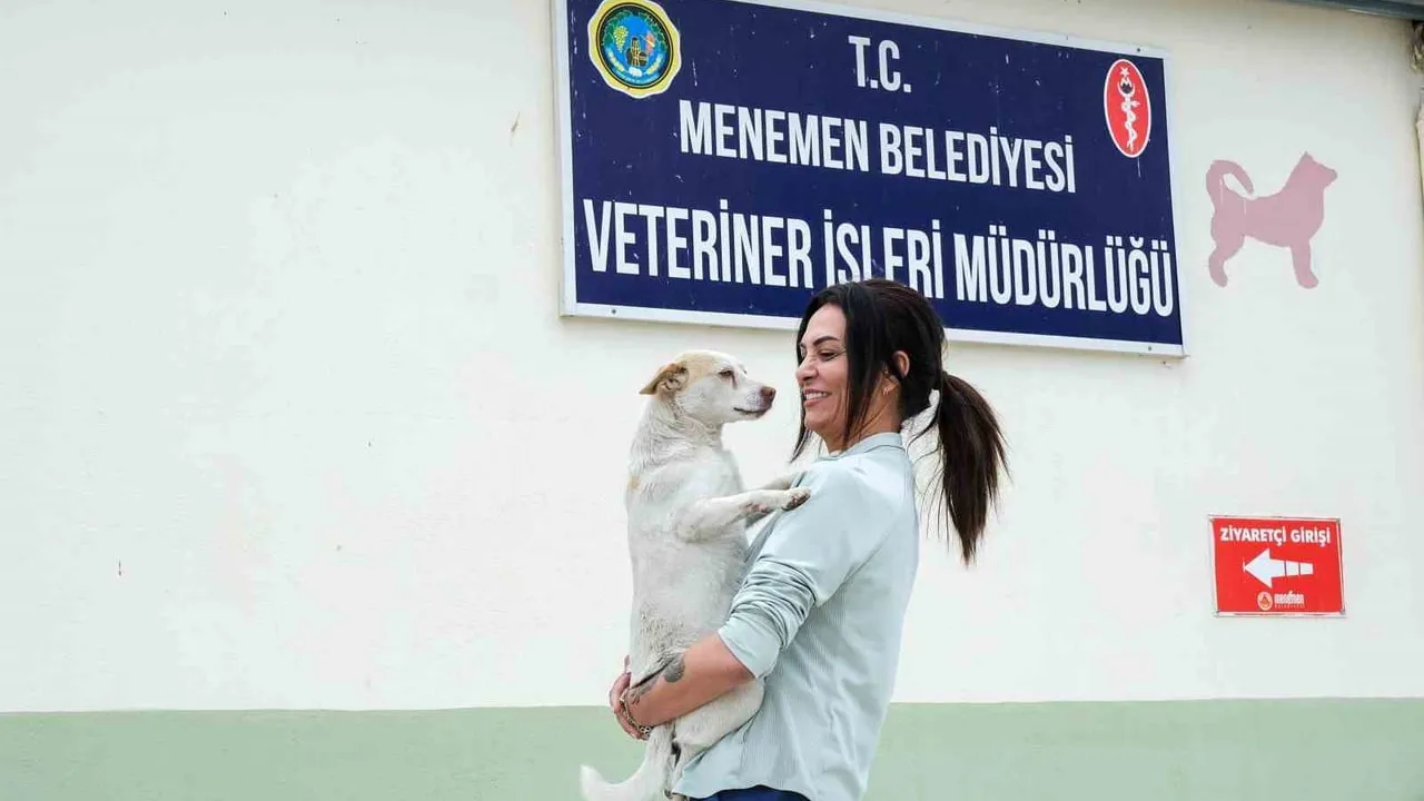 Menemen Belediyesi: Gece hizmeti veren tek hayvan ambulansıyla 50 bini aşkın tedavi