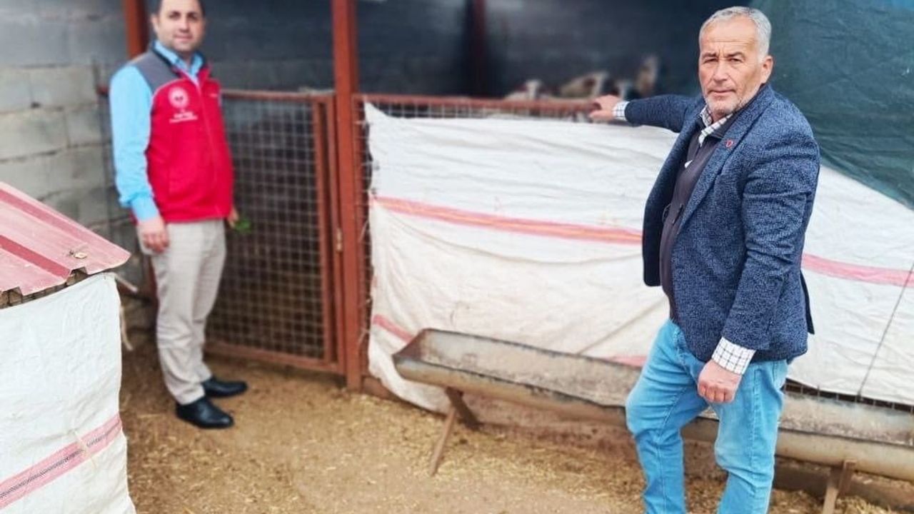 Menteşe'de çiftçilere uygulamalı ceviz aşılama eğitimi