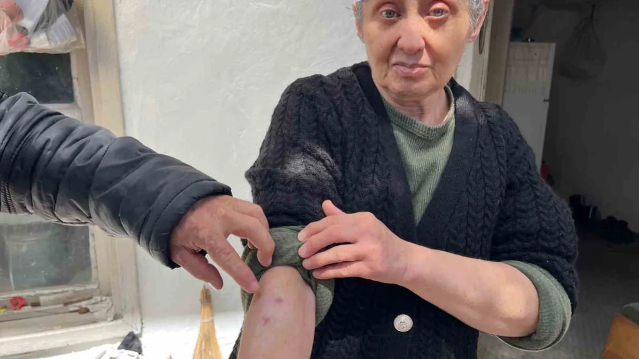 Menteşe'de yangında evi küle dönen Gülcüoğlu kardeşler yardım bekliyor