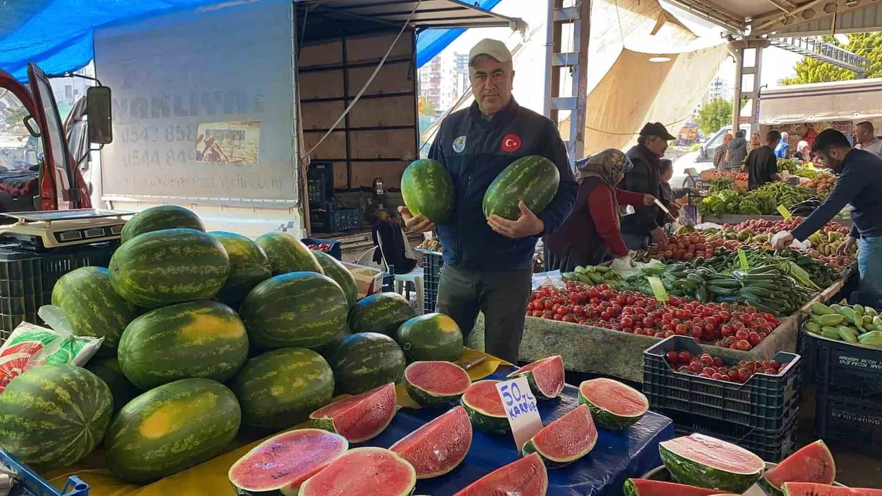 Mersin'de sezonun ilk karpuzları pazarda: Kilosu 50 TL, çeyreği 65-90 TL