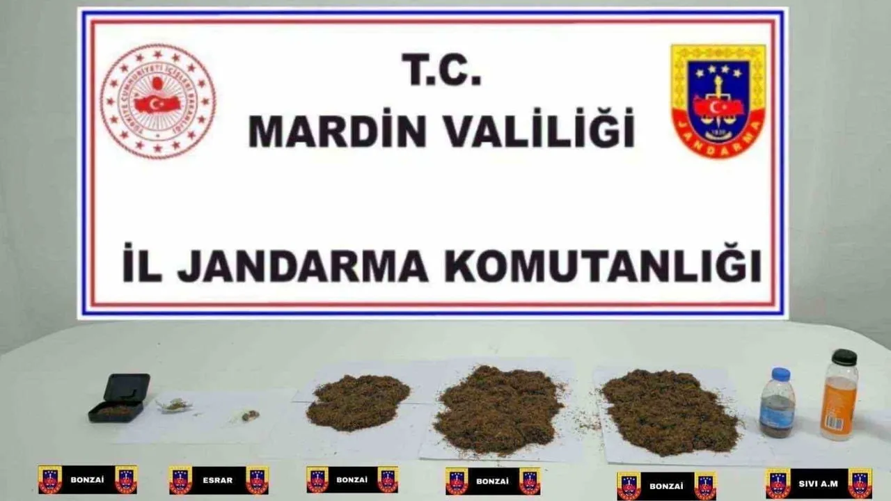 Midyat'ta jandarma operasyonu: 1 kilo 75 gram bonzai ve 80 ml sıvı metamfetamin ele geçirildi