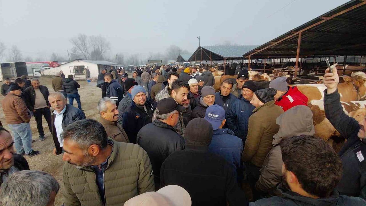 Mudurnu Hayvan Pazarında Erken Hareketlilik: Alıcı ve Besiciler Arasında Sert Fiyat Pazarlıkları