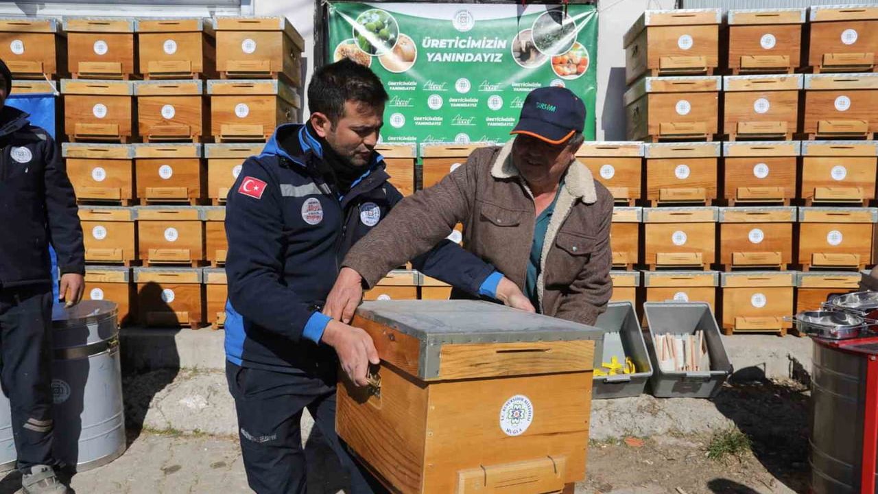 Muğla Büyükşehir’den üreticiye kapsamlı destek: Fidan, yem, laboratuvar ve hayvancılık yardımları