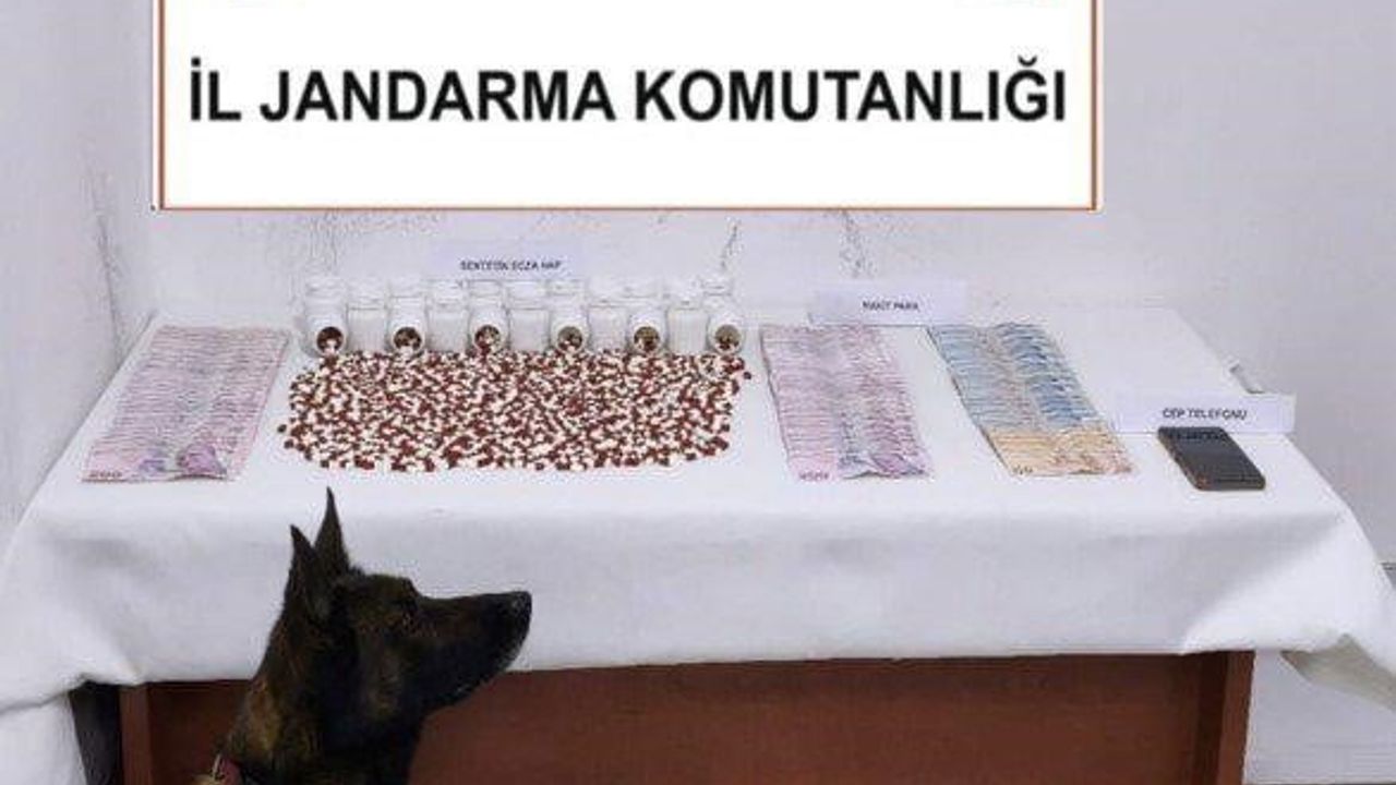 Muğla'da jandarma 22 operasyonda 25 şüpheli hakkında işlem yaptı: Bin 268 Lyrica ve çeşitli uyuşturucular ele geçirildi