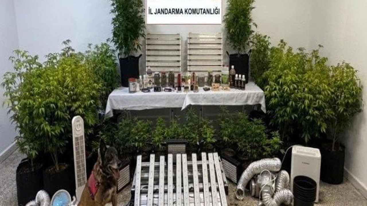 Muğla'da KOM Operasyonları: 15. yüzyıla ait Tevrat ve Çok Sayıda Kaçak Malzeme Ele Geçirildi