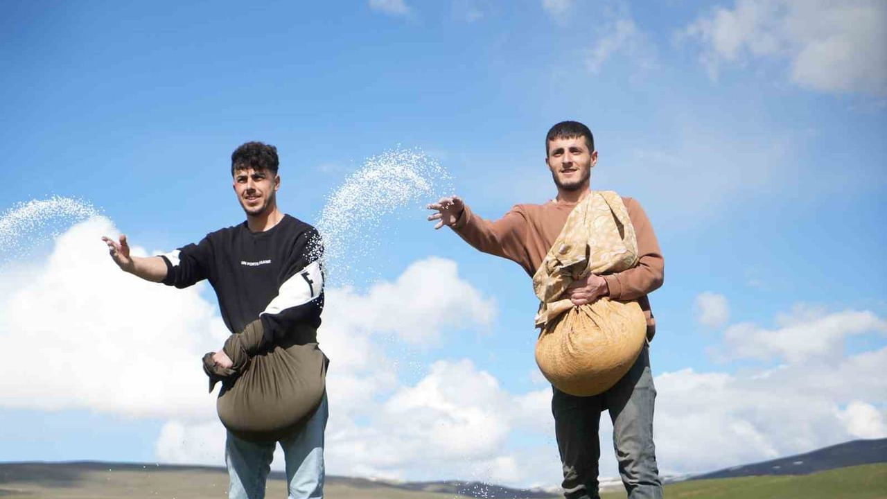 Muş Kırköy'de traktör giremeyen tarlalarda imece usulüyle gübreleme yapıldı