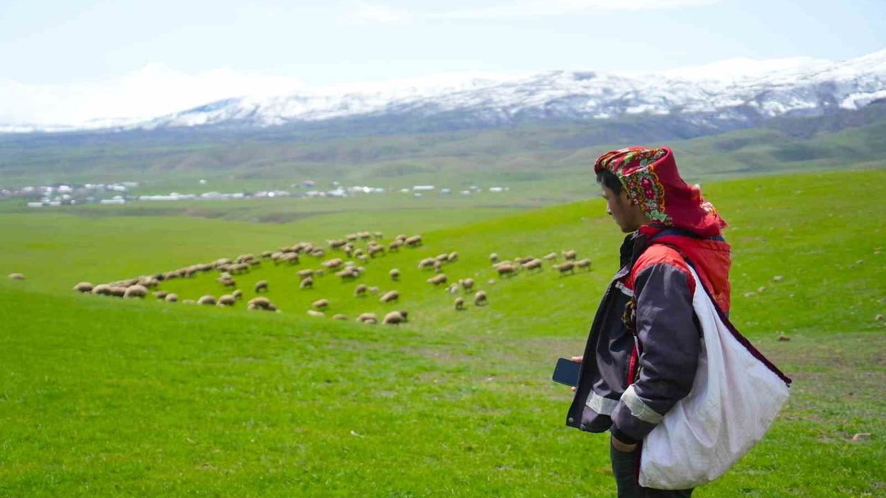 Muş'ta genç besicilere destek: 'Kırsalda Bereket Küçükbaşa Destek Projesi' için başvurular başladı