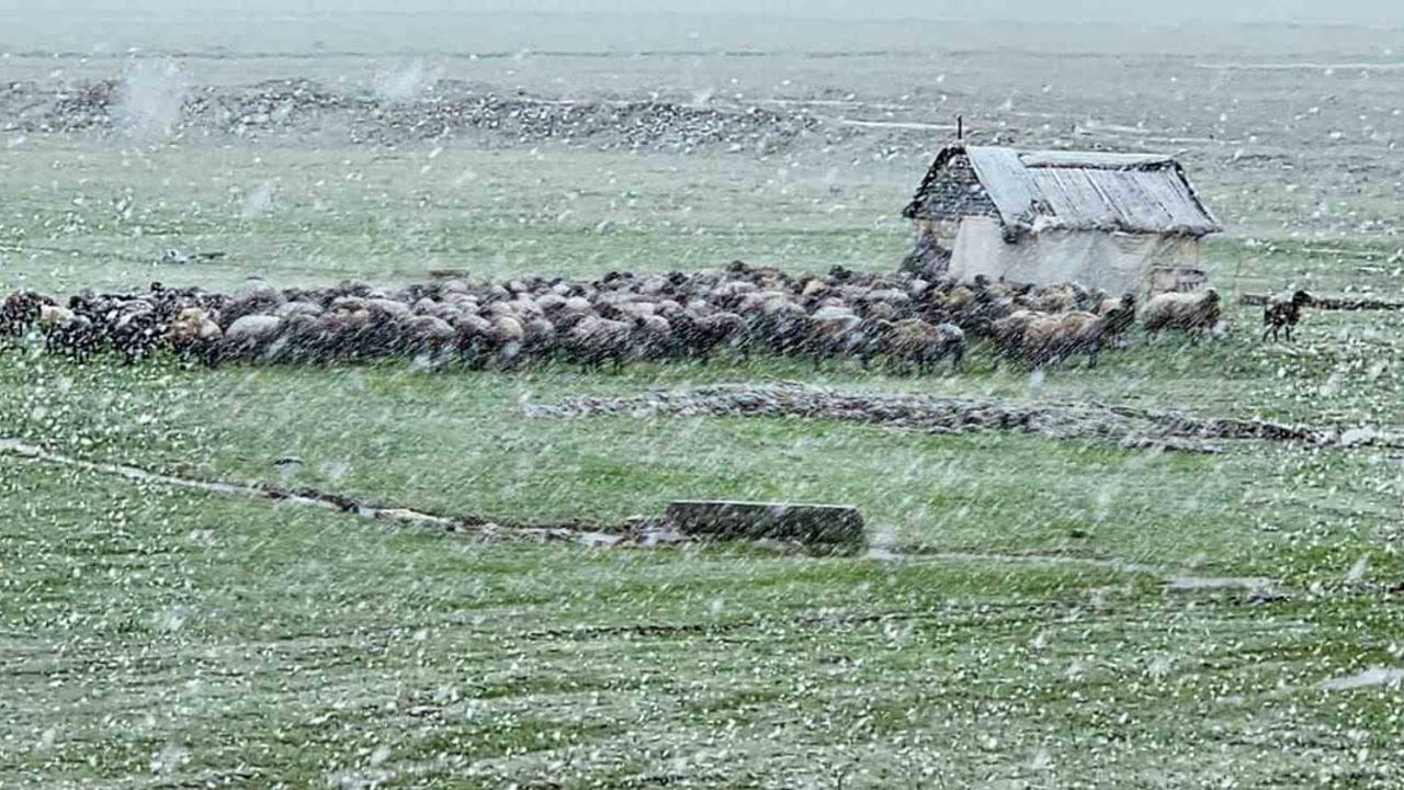 Muş’ta Nisan karı ulaşıma darbe vurdu: Hasköy’de 22 köy yolu kapandı