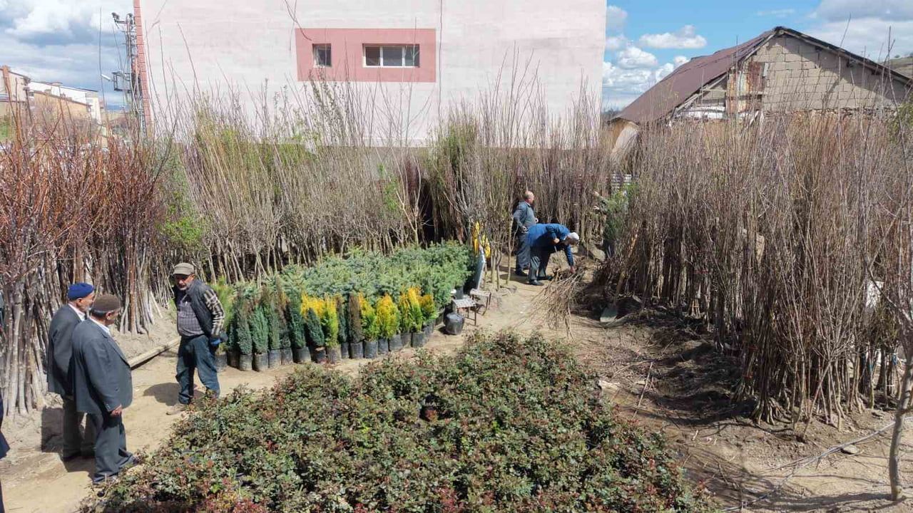 Muş'ta yaklaşık 30 çeşit meyve fidanı satışa çıkarıldı