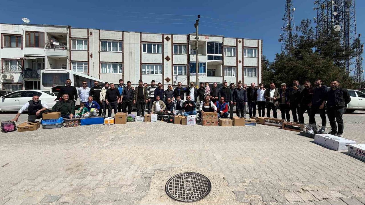 Mustafakemalpaşa'da İlk Toplu Güvercin Salımı: 600 Kuşla Gökyüzünde Görsel Şölen