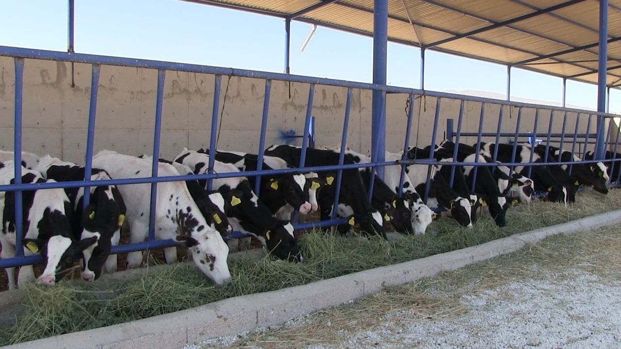 Niğde'nin Kiledere Beldesi 40 gün karantina altına alındı