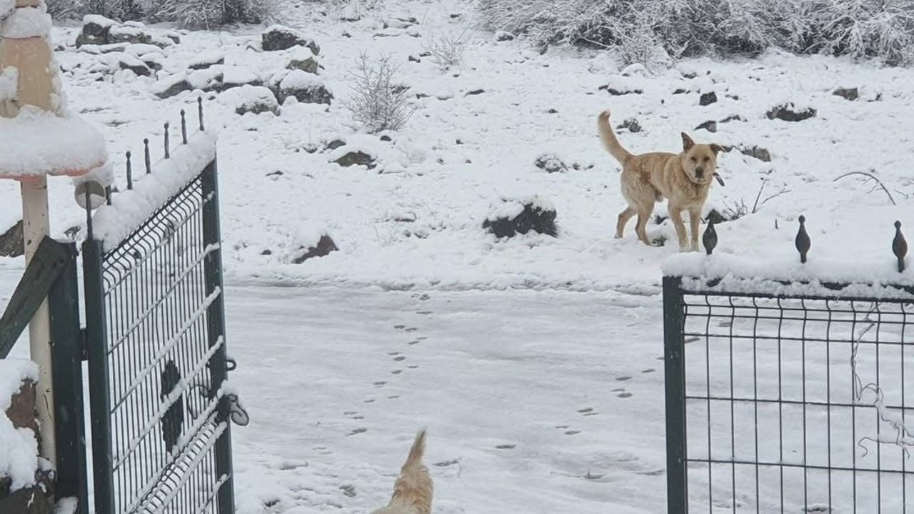 Nisan ayında Ankara’nın kuzeyinde sabah başlayan kar yağışı etkili oldu