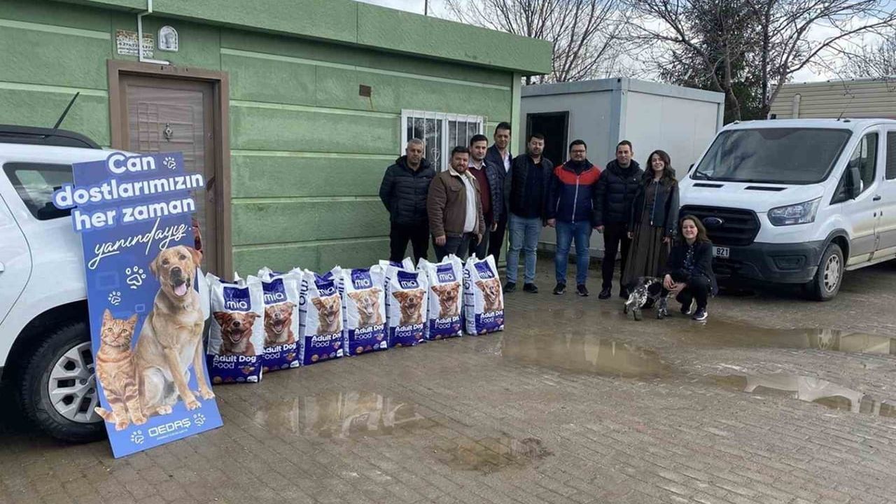 OEDAŞ'ın Can Dostlar projesi: 5 yılda 30 tonu aşan mama bağışı