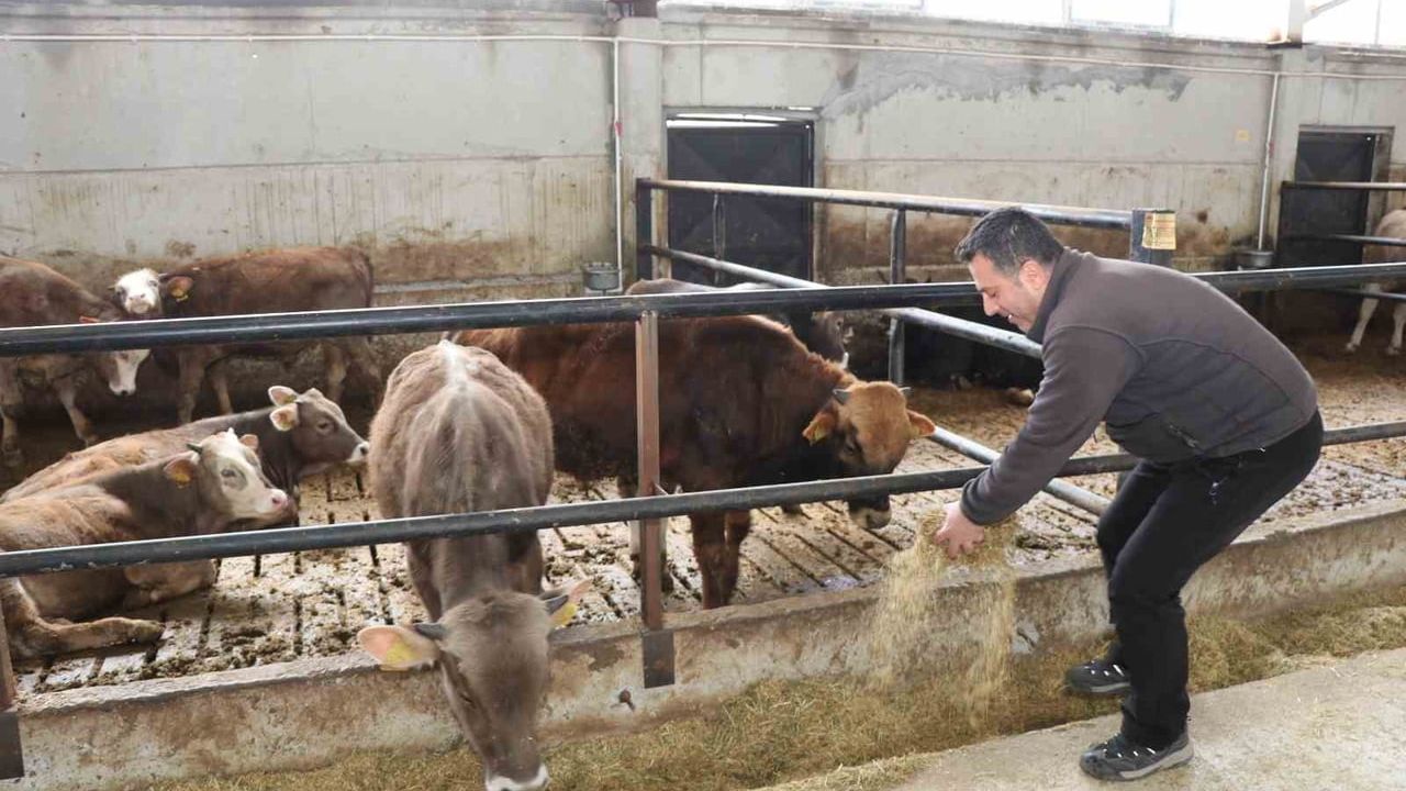 Oltu’da devlet destekli akıllı ahır projesiyle üretim ve verimlilik arttı