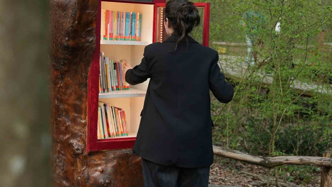 Ormanya Orman Kütüphanesi, kuş sesleri eşliğinde okuma imkanı sunuyor