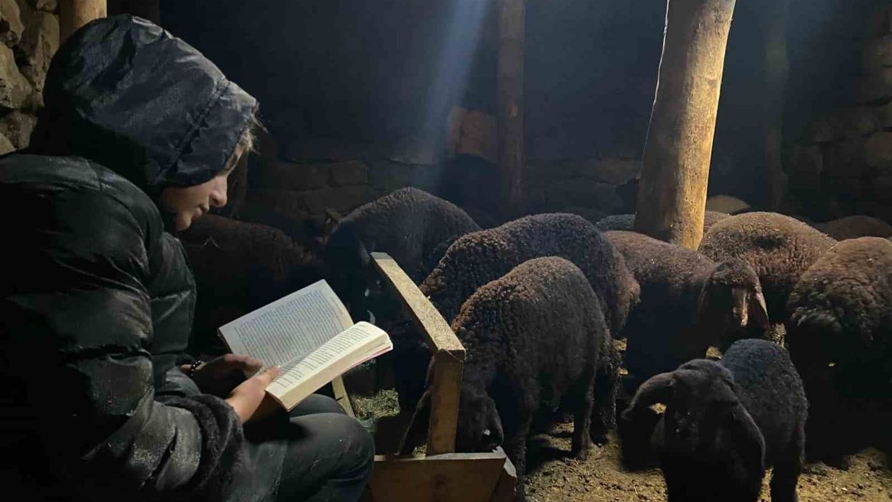 Patnoslu öğrenci Menekşe Sevinç: Gündüz hayvan bakıyor, akşam ders çalışıyor